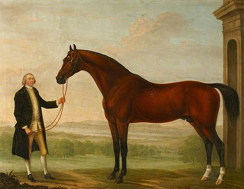 A Hunter held by its Owner, 1766, William Shaw