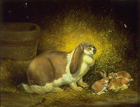 Rabbit and Young, 1852, William Smellie Watson