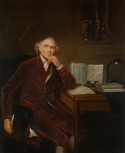 John Hunter (1728–1793) (copy after Joshua Reynolds), , William Stewart Watson