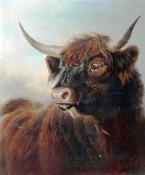 A Highland Bull, 1891, William Watson
