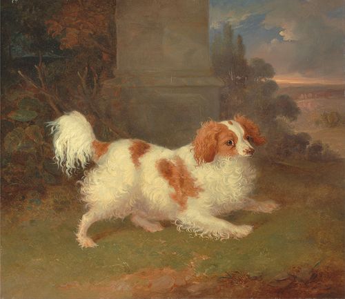 A Blenheim Spaniel, 1825, William Webb