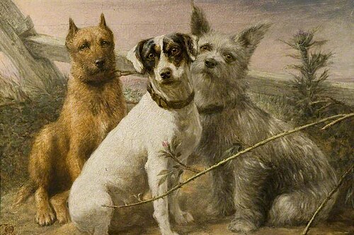 'Rose', 'Shamrock' and 'Thistle', 1884, R. S. Moseley