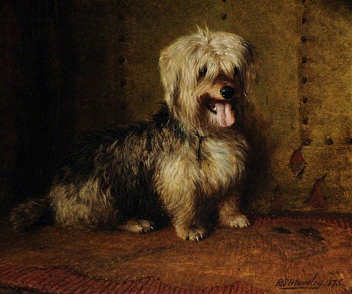 'Frisk' a Skye Terrier, 1875, R. S. Moseley