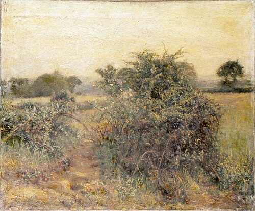Landscape with Wild Roses, , Woodbine Kendall Hinchliff