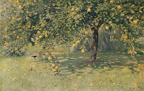 The Quince Tree, , Woodbine Kendall Hinchliff
