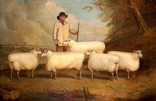 A Pen of Theaves, 1858, Richard Whitford