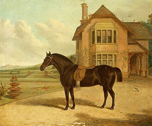 A Bay Roan in front of a House, 1867, Richard Whitford