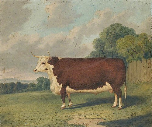 A Prize Bull in a Landscape, 1876, Richard Whitford