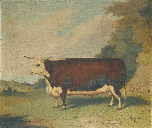A Prize Bull in a Landscape, 1876, Richard Whitford