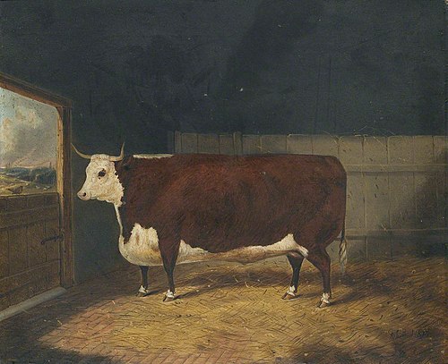 A Prize Bull in a Barn, 1875, Richard Whitford