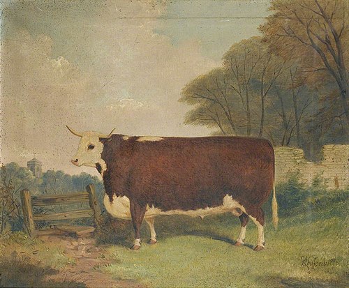 A Prize Bull by a Gate, 1878, Richard Whitford