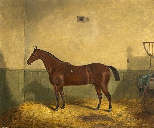 A Brown Horse in a Stable, 1873, Richard Whitford