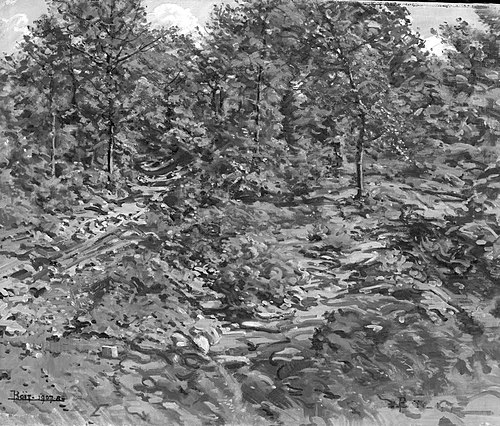 Rocky Hillside, , Edward Darley Boit