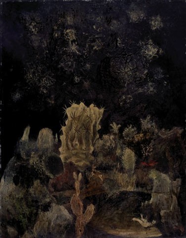 Jardin de cactus, 2000, Hubert Wolfs