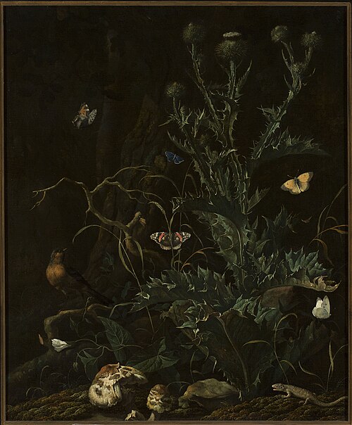 Thistles, butterflies and a lizard, , Abraham Begeyn