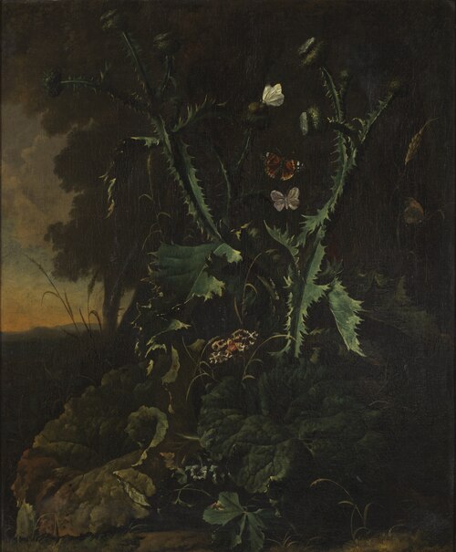 Still life with thistles and butterflies, , Abraham Begeyn