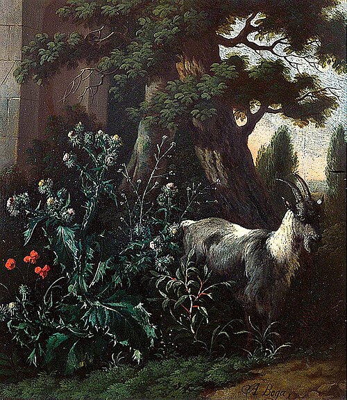 Plant Study with Goat, , Abraham Begeyn