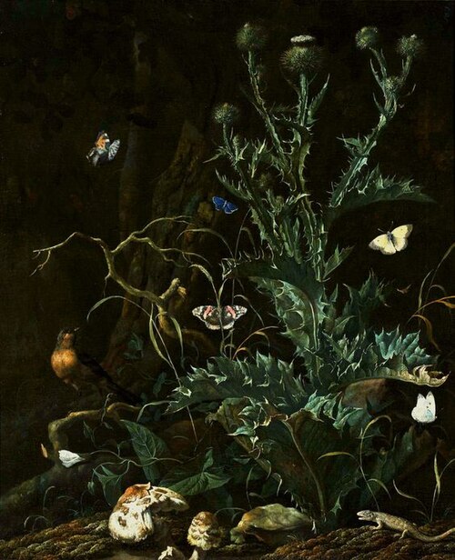 Nature morte au chardon., 1700, Abraham Begeyn