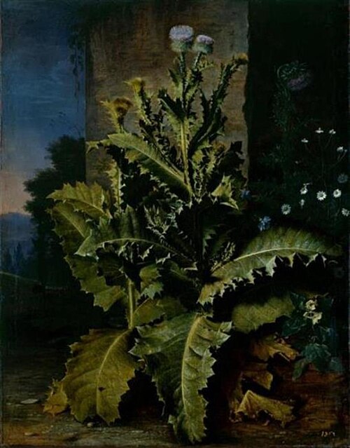 Thistles and cornflowers, 1658, Abraham Begeyn