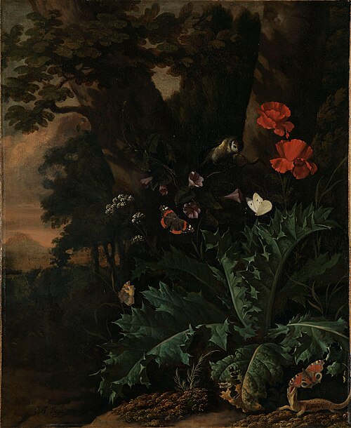 Butterflies and Flowers, 1664, Abraham Begeyn