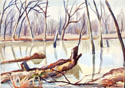 Rock Creek, Winter, 1924, Edgar Nye