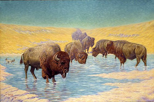 Buffalo Scene, 1922, Emil W. Lenders