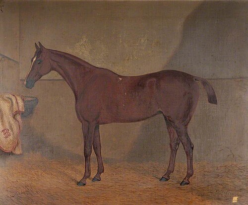 'Medea', a Dark Brown Mare, 1885, F. Clifton