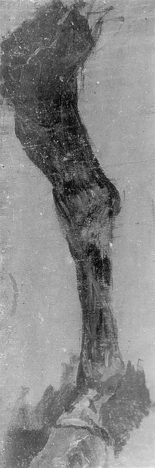 Fairman Rogers Four-in-Hand: Study of a Horse's Leg, 1879, Thomas Eakins