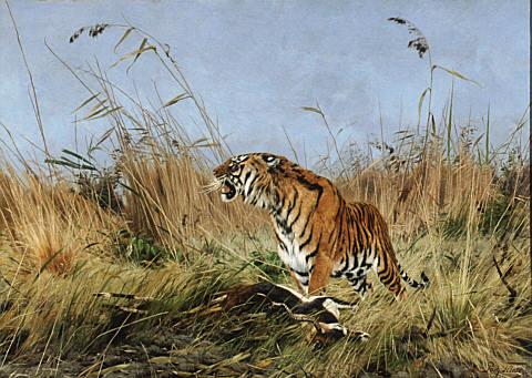 The Tiger, 1890, Richard Friese