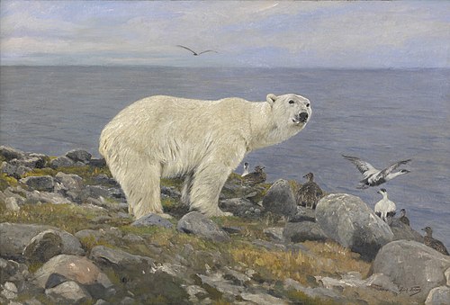 IJsbeer en eidereenden aan de kust, 1893, Richard Friese