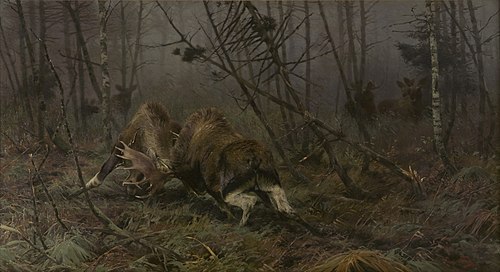Twee vechtende elandstieren, op de achtergrond de koeien, 1893, Richard Friese