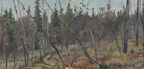 Forest edge in Canada, 1908, Richard Friese