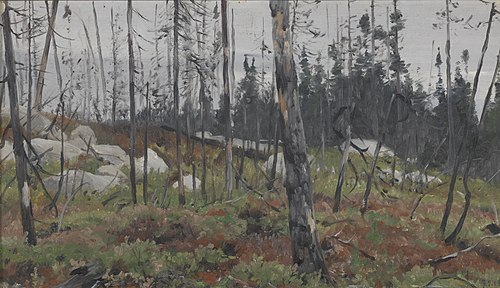 Mixed forest in Canada, 1908, Richard Friese