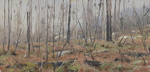 Afgestorven woud in Canada, 1908, Richard Friese