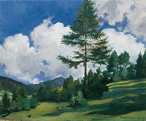 Motiv bei Toblach, 1909, Richard Harlfinger