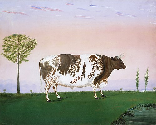 Prize Bull, 1876, H. Call