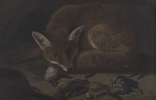 Ein Fuchs, 1665, Franz Rösel von Rosenhof
