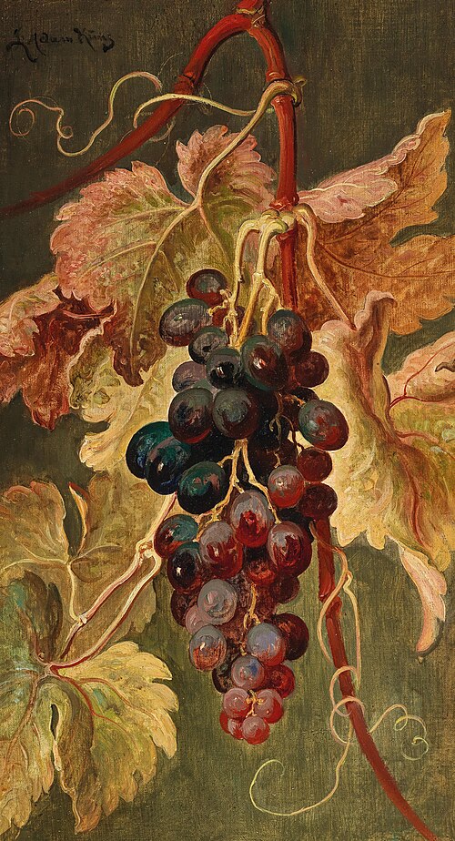 Grapes, , Ludwig Adam Kunz