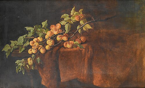 Aprikosenzweig, , Ludwig Adam Kunz