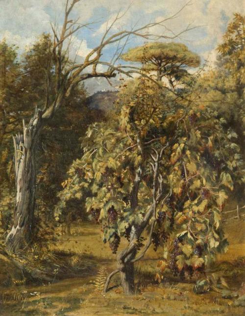 A Vineyard, Gensano, Rome, , Robert Scott Lauder