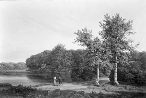 Woodscape near Hellebæk, 1834, Adolf Carl