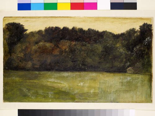 Landscape - Study, 1863, Edward Burne-Jones