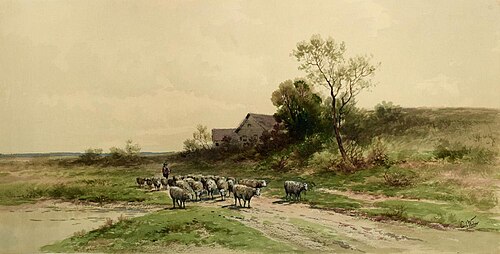 Sheep, , Carl Weber