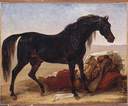 Cheval arabe, 1817, Antoine-Jean Gros