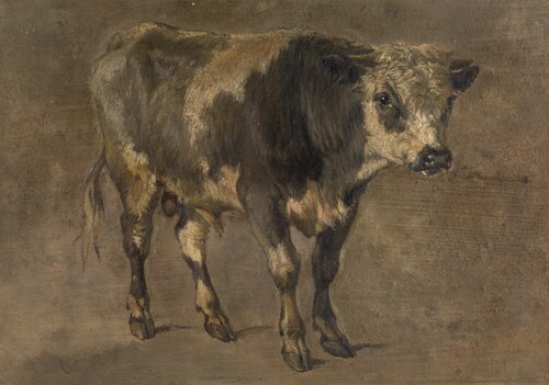 Bull, , André Plumot