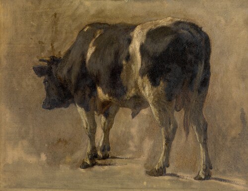 Bull, 1535, André Plumot