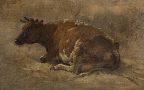 Cow, 1535, André Plumot