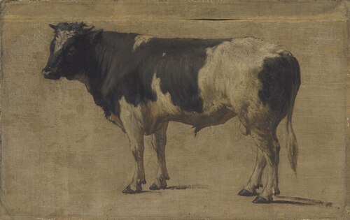 Bull, , André Plumot