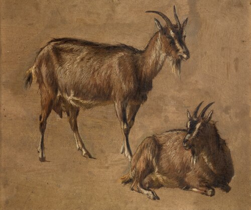 Goats, , André Plumot