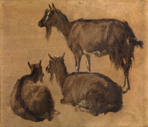 Goats, 1873, André Plumot